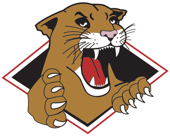 Prince George Cougars 2002-2008 Primary Logo iron on heat transfer